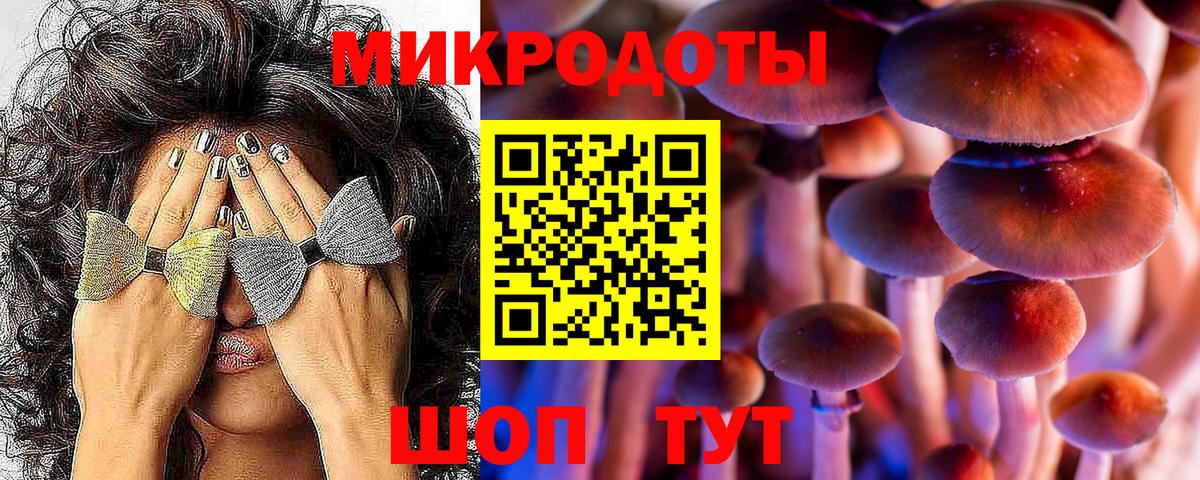 Фролово  Псилоцибиновые грибы мицелий  Вход с VPN 